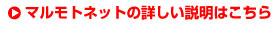 詳しい説明
